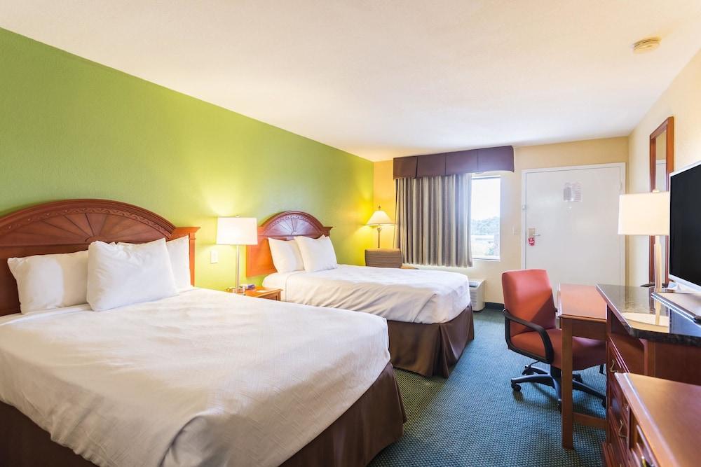 Econo Lodge White Pine Morristown I-81 & I-40 Split エクステリア 写真