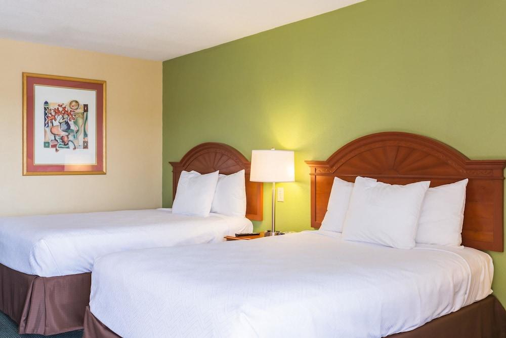 Econo Lodge White Pine Morristown I-81 & I-40 Split エクステリア 写真