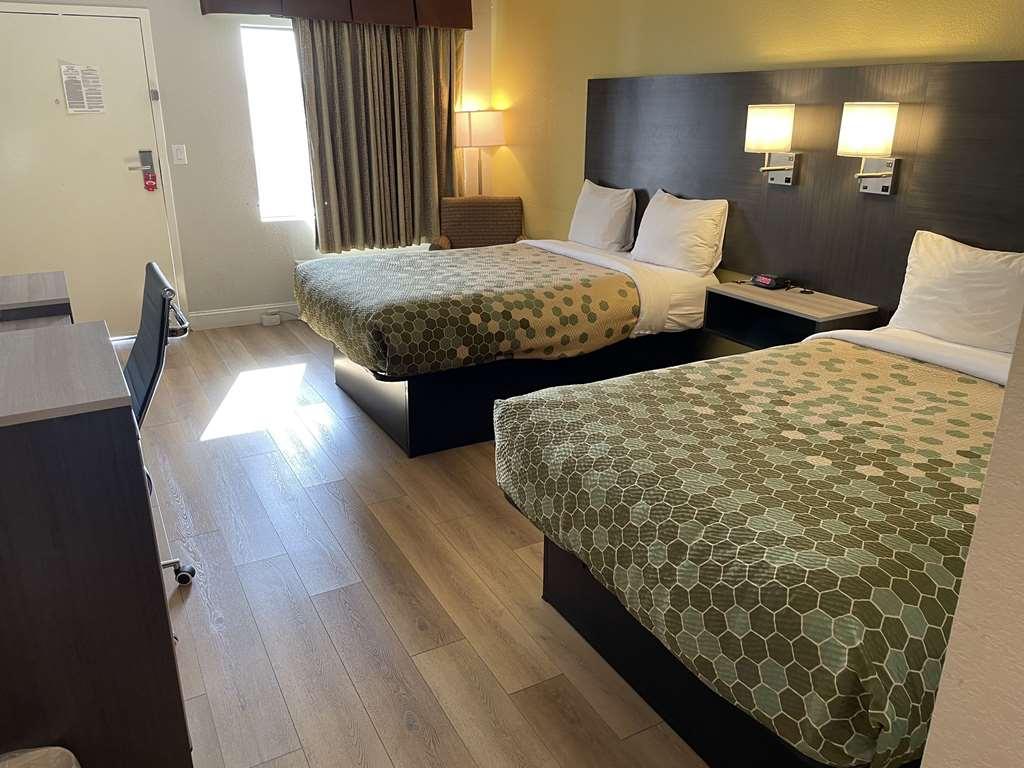 Econo Lodge White Pine Morristown I-81 & I-40 Split 部屋 写真