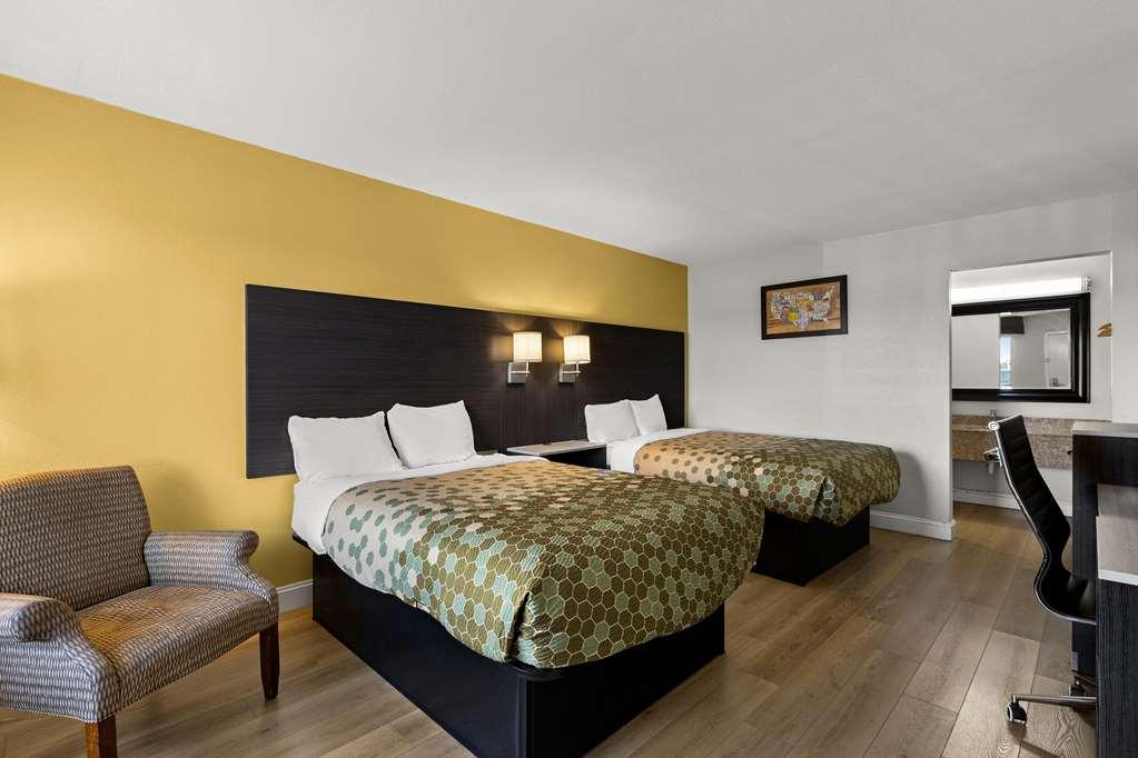 Econo Lodge White Pine Morristown I-81 & I-40 Split 部屋 写真