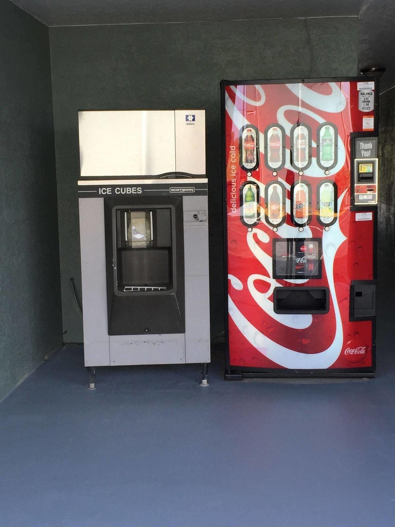 Econo Lodge White Pine Morristown I-81 & I-40 Split エクステリア 写真